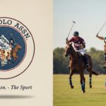 Polo Assn vs Polo Ralph Lauren