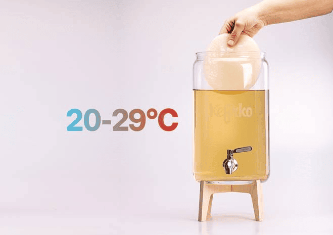 How Do You Control Temperature in Kombucha Production?