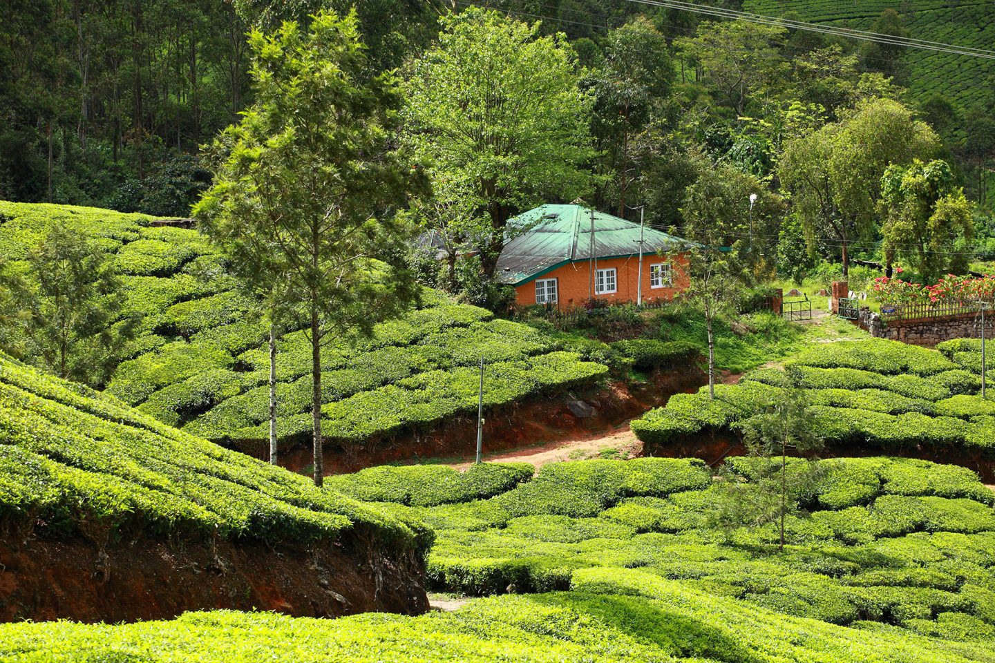 What a DevOps Services Company Kerala Travel Guide Plan a Memorable Journey Through God's Own Country