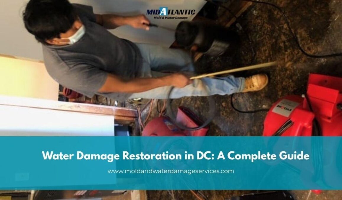 Water Damage Water Damage Restoration in Washington DC: The Complete Step-by-Step Process